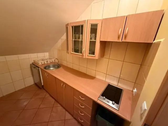 Alexandria ゲストハウス